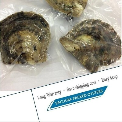 #ad Lots Natural Akoya Pearl Oysters Real Pearl Freshwater Pearl Holiday Gift 10PCS