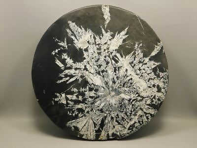 #ad Chrysanthemum Stone Large Plate 9.5 inch Natural Decorator Rock #O21