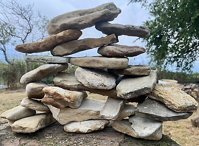#ad Natural Flat Texas Limestone Medium Size 10 Lbs 10ct Rock Stacking Outdoor Decor $15.75