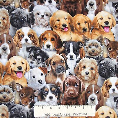 #ad Dog Fabric Adorable Pets Packed Puppy Puppies Elizabeth#x27;s Studio YARD