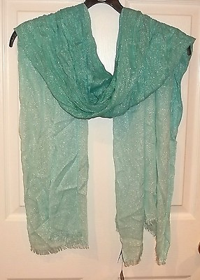 #ad Womens EXPRESS Teal METALLIC SCARF NWT $49 SPARKLE Turquoise 74 X 30 Long