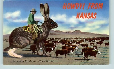 #ad Postcard Howdy From Kansas Punching cattle on a horse jack Rabbit Fantasy