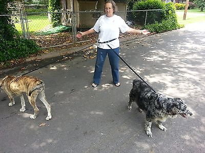 #ad Jogging Leash 1 Dog or 2 Dog or 4 Dogs At Once. Metal Hardware USA MADE
