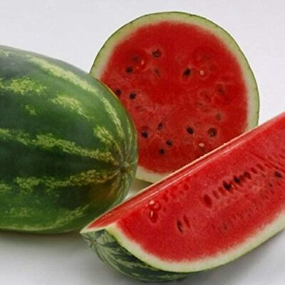 #ad All Sweet Watermelon Seeds Non GMO Free Shipping Seed Store 1045