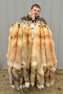 #ad Tanned Red Fox Winter “Heavy Fur” Western XL Pelt Hide Medium Grade rfwhmg