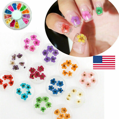#ad 12 Colors Real Dried Flowers Nail Art Decoration Tips DIY Decors Manicure USA