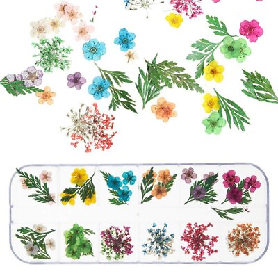 #ad 12 Types Flowers 3D Nail Art Real Dried Flowers Decors Design DIY Tips Manicure $8.54