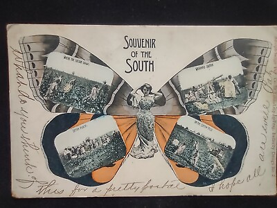 #ad 1906 Antique Souvenir of the South Post Card Fantasy Adolph Selige Butterfly