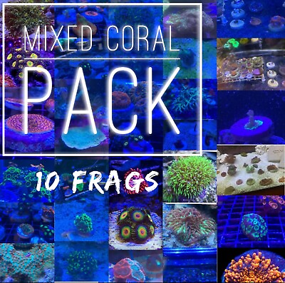 #ad Frag pack live coral 10 Mixed Frags Free Overnight Shipping