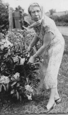 #ad 5C Photograph Pretty Old Woman Tending Cut Flowers In Garden Kerchief 1940 50#x27;s