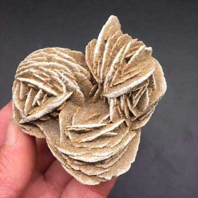 #ad Natural Crystal Quartz Raw Gemstone Desert Rose Specimens Healing Decorate 1PC