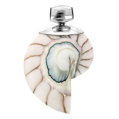 #ad 925 Sterling Silver Cool White Nautilus Shell Sterling Pendant 2 1 2quot;