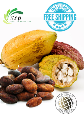 #ad FRESH DRY Cocoa Seeds 100% Quality Organic Ceylon coco 5 50 Beans Theobroma Row
